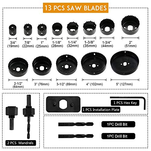 WXTOOLS 19Pcs Hole Saw Kit, Hole Cutter Set in Hard Box With 2 Mandrels, 1 Installation Plate, 1 Hex Key For Smooth and Fast Cutting in Soft Wood, Plastic, Drywall, Fiberboard