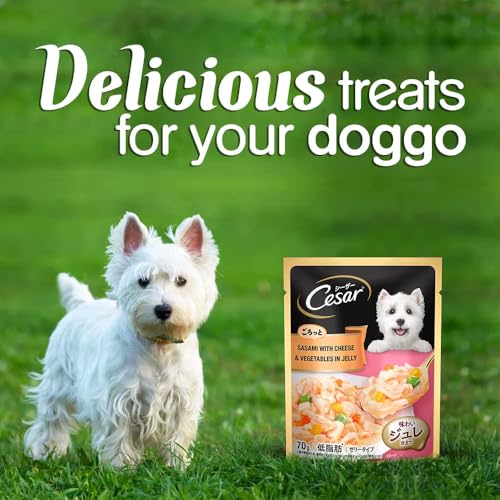 Image of Cesar Premium Adult Wet Dog Food, Sasami with Cheese & Vegetables in Jelly, 70gm