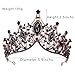 Aceorna Baroque Queen Crowns Crystal Wedding Crowns and Tiaras for Brides and Bridesmaids Rhinestones Prom Festival Costume Crown Pricess Tiara Bridal Hair Accessories for Women (Gorgeous Black)