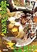 錆喰いビスコ7 瞬火剣・猫の爪 (電撃文庫)