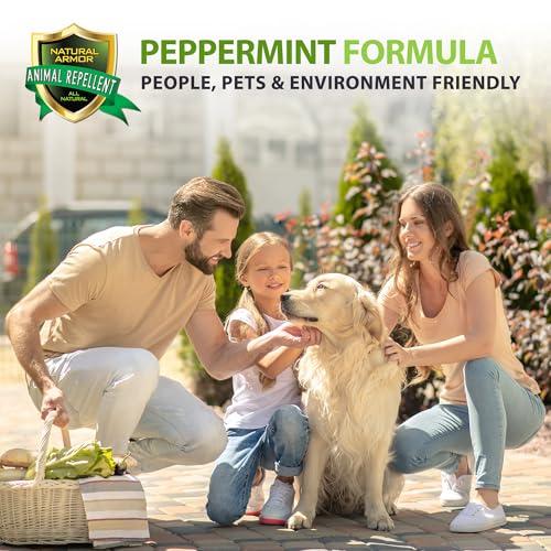Natural Armor Animal & Rodent Repellent Spray. Repels Skunks, Raccoons, Rats, Mice, Deer Rodents & Critters. Repeller & Deterrent in Powerful Peppermint Formula – 128 Fl Oz Gallon Refill RTU