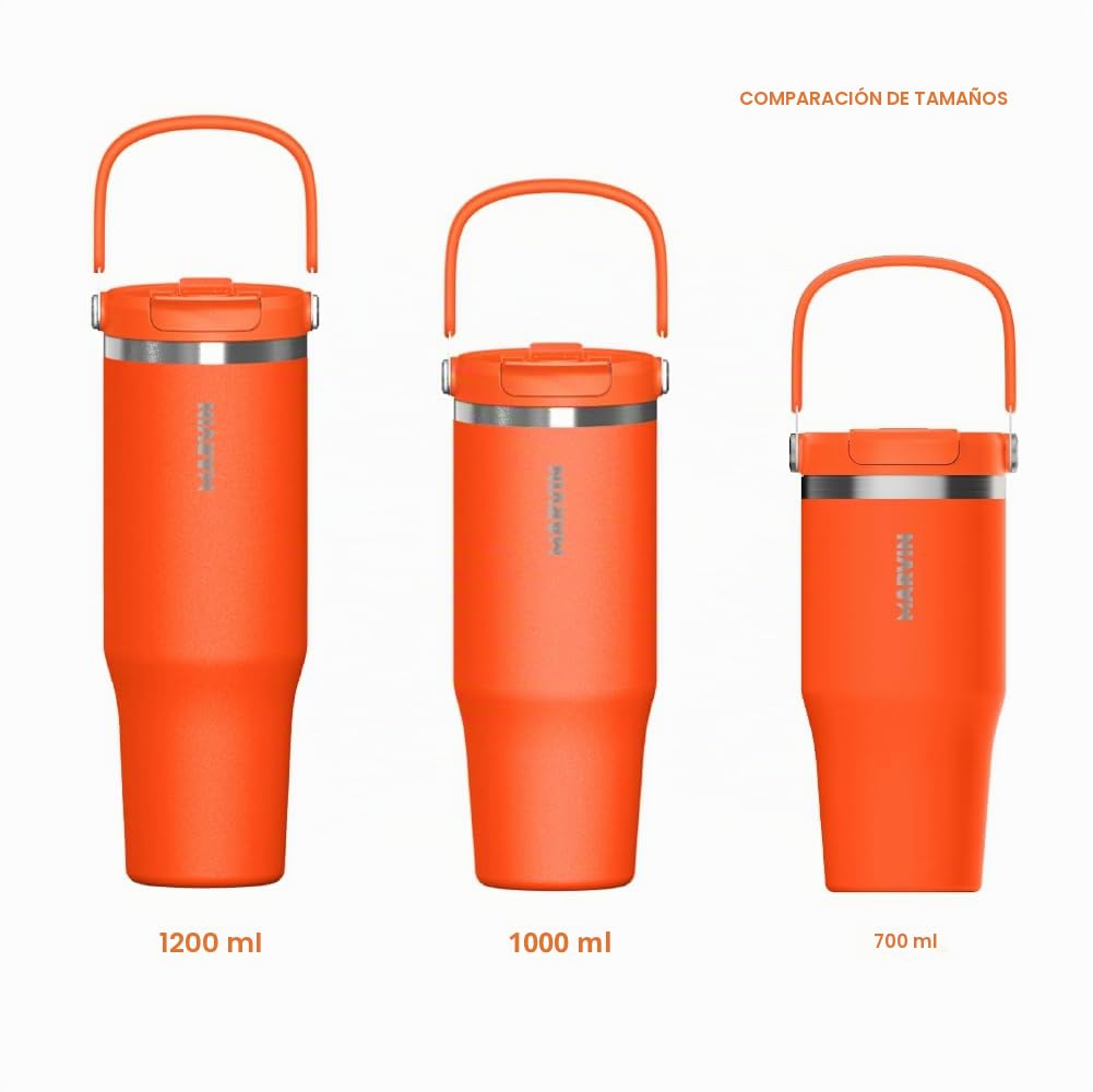 MARVIN THE ICED – 1000 ML– Termo Acero Inoxidable Reutilizable – Botella Térmica Premium para Frío y Calor – Estilo Elegante para Deporte, Trabajo y Urbano (Soul)