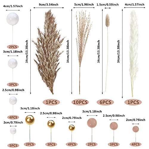50 Pcs Boho Mini Balls Cake Toppers Various Dried Pampas Grass Cake Decor Bunny Tails White Brown Pampas Grass For Boho Home Wedding Cake Decoration (White Gold Light Brown) #TOP1