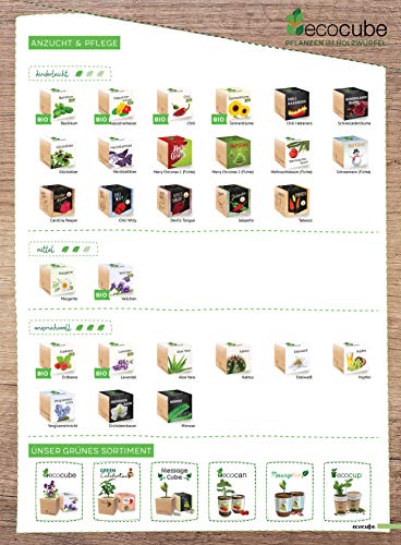 Feel Green Message Cube, Holzwürfel Mit Lasergravierter GlücksbohneHappy Birthday, Nachhaltige Geschenkidee, 100% Eco Friendly, Anzuchtset, Made in Austria