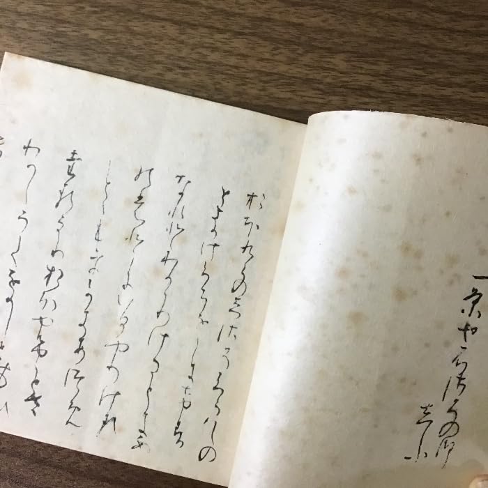一条摂政集 楽古筆叢書 Amazon.co.jp: 〔一条摂政集 一楽古筆叢書 本書＋解説書 2冊揃セット