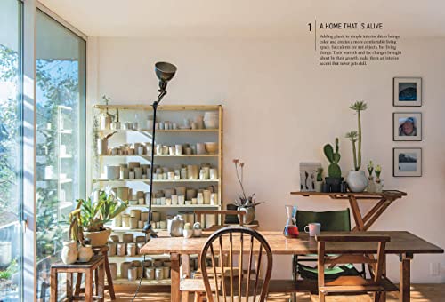 Succulents for Beginners: A Year-Round Growing Guide for Healthy and Beautiful Plants (Over 200 Phot