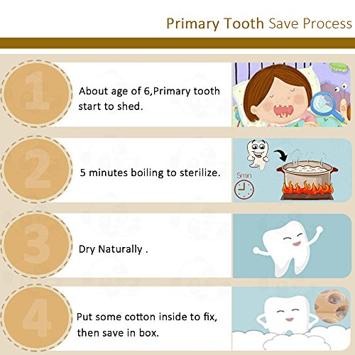 Pambo Baby Tooth Fairy Keepsake Box- First Teeth And Curl Keepsake Box | Tooth Boxes Saver & Holders For Lost Teeth Kids-Girls #TOP5