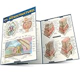 Anatomy Microstructures: a QuickStudy Laminated Reference Guide