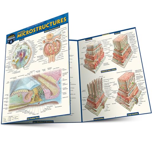 Anatomy Microstructures: a QuickStudy Laminated Reference Guide