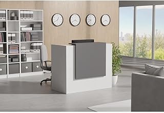 ICN 53" Modern Reception Desk, Multifunctional Modern Transaction Counter Top, Laminate Desktop, Standing Front Table for Office, Home, School, Salon, Spa - White & Anthracite Gray