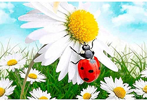 PUZZLECABIN Rompecabezas 5000 Piezas de los más Hermosos Rompecabezas temáticos de crisantemos para Adultos y niños Mayores de 10 años.