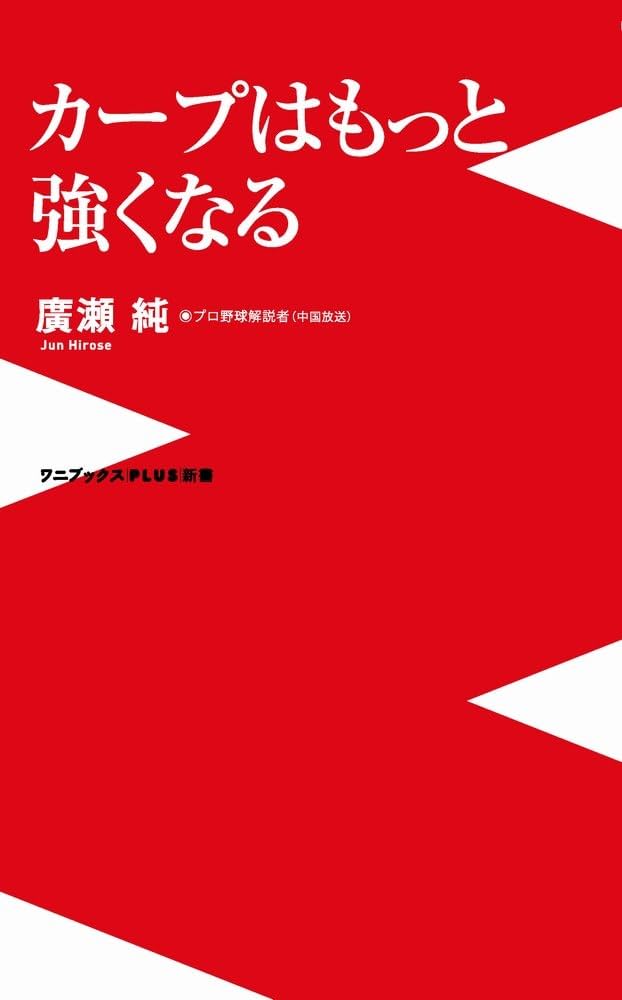 24時間以内匿名配送】 SSK 広島カープ 廣瀬純選手 実使用バット ヒビ