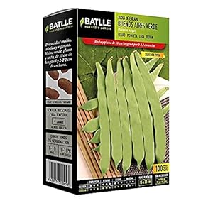 Batlle groentezaden – bonen Buenos Aires groen Evita (100g)