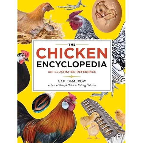The Chicken Encyclopedia: An Illustrated Reference Cover