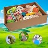 bird toys,Colorful Parrot Foraging and Tearing Toy Box - Suitable for chewing and foraging of long tailed parrots, Quaker parrots,cockatoos, Sun Conure, and other small and medium-sized parrots