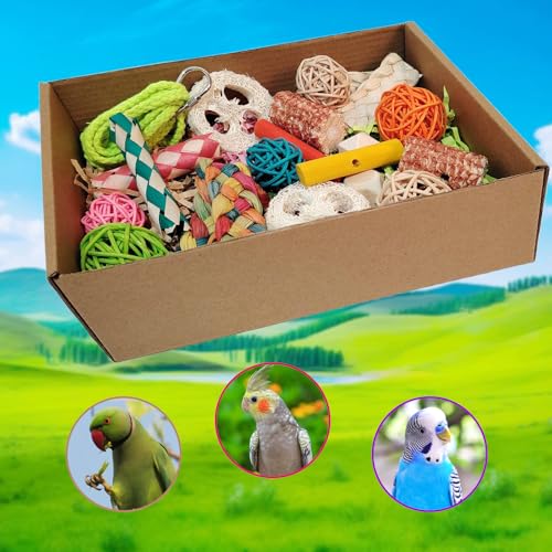 image for kencunay bird toys，Colorful Parrot Foraging and Tearing Toy Box - Su