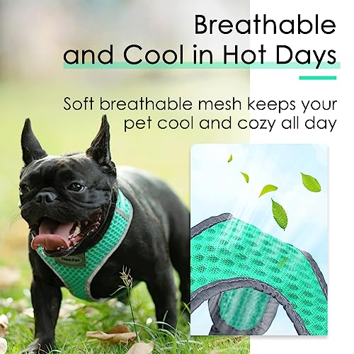 ThinkPet No-Pull Hundegeschirr Leine Set, Atmungsaktiv Brustgeschirr für Kleine Mittlere Große Hunde, Einstellbar Weich Laufgeschirre Sicher Kontrolle Gepolstert Reflektierendes Sicherheitsgeschirr