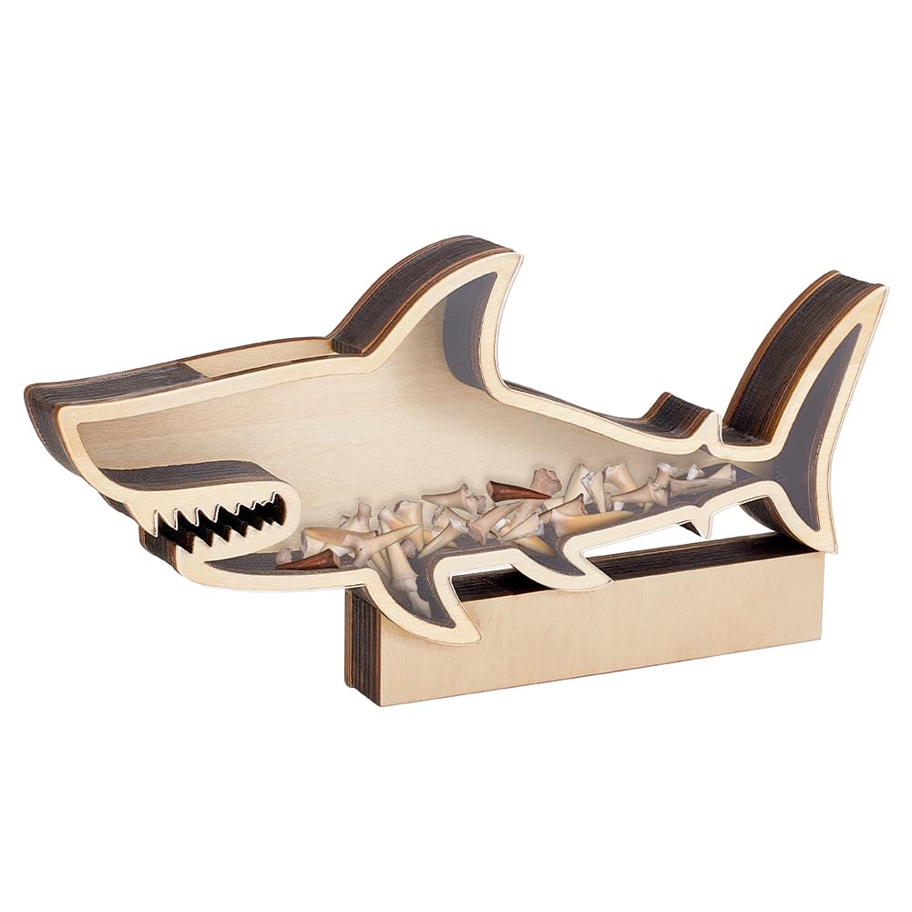 PandaHall Shark Teeth Display Holder - Presentation Box for Home Decorations, Storage for Gemstones, Seashells - 10.6x5.3x1.2 Inches