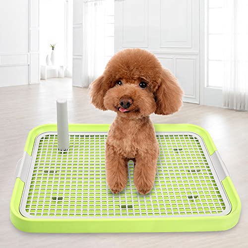 Taiyo Pluss Discovery® Dog Toilet, Size:(45X35 CM)(LXH),Dog Potty Training Tray,Indoor Training,Protect Floors Clean, Suitable for Suitable for Puppies & Small Dogs (Dog Toilet (E-026) - Green) (B09R211FRR) Amazon Price History, Amazon Price Tracker
