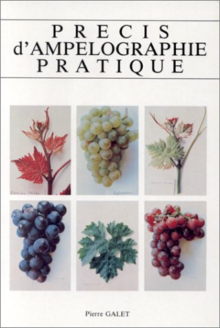 Télécharger Précis d'ampélographie pratique, 7e édition livre En ligne