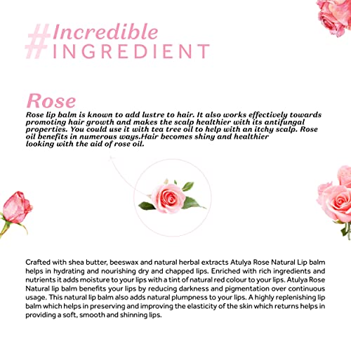 Atulya Rose Natural Lip Balm with Bees Wax & Honey | Nourishing Lip Balm for Soft Lips | Lip Balm for Velvety Lips | Unisex Formula - Image 5