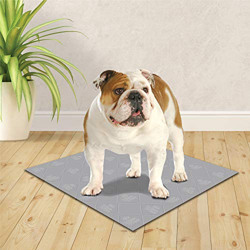 Image of Wee-Wee Premium Patch Washable Pad for Dogs, Count of 1, 1 CT