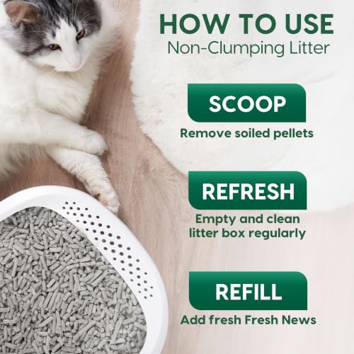 Image of Fresh News MAX Unscented Original Cat Litter, Non-Clumping, 20 lb