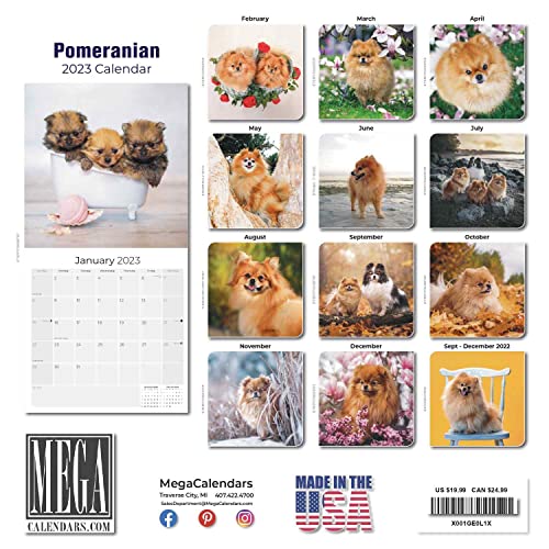 2022 2023 Pomeranian Calendar - Dog Breed Monthly Wall Calendar - 12 X 24 Open - Thick No-Bleed Paper - Giftable - Academic Teacher's Planner Calendar Organizing & Planning - Made In Usa #TOP2