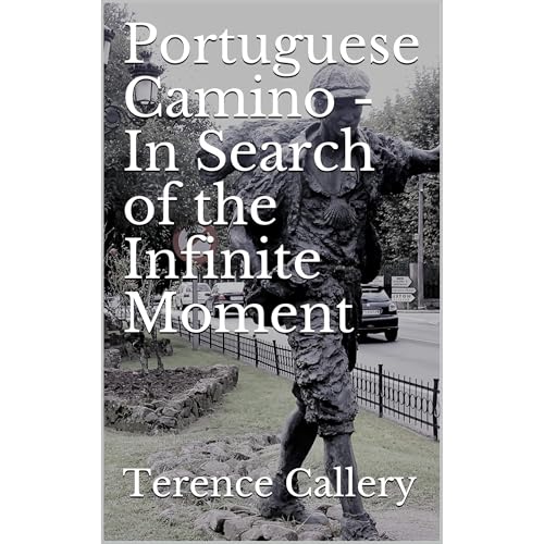 Portuguese Camino - In Search of the Infinite Moment by Terence Callery episode artwork