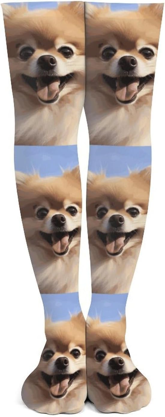 Happy Pomeranian Knee High Stockings for Women 23.6" Breathable Thigh High Stockings Over The Knee Socks