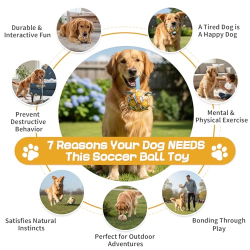 Image of Dog Soccer Ball with Straps, 6 Inch for Small and Medium Dogs, D