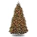 National Tree Company Pre-Lit Artificial Full Christmas Tree, Green, Dunhill Fir, Dual Color LED Lights, Includes Stand, 10 Ft