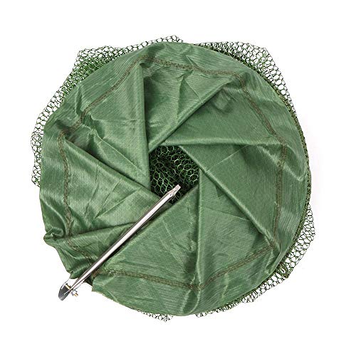 Rede de pesca, Gainty Rede de pesca portátil dobrável Gaiola Armadilha para peixes Cesta de pesca pa