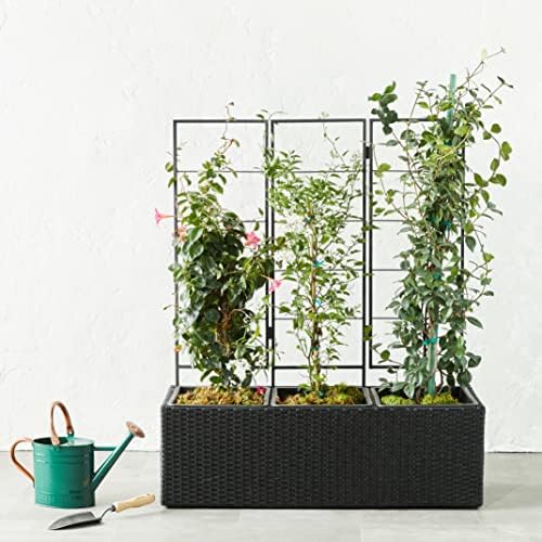 Amazon Basics Wicker Trellis Planter with Inner Plastic Liner - Three Buckets, 96.5 cm, Black