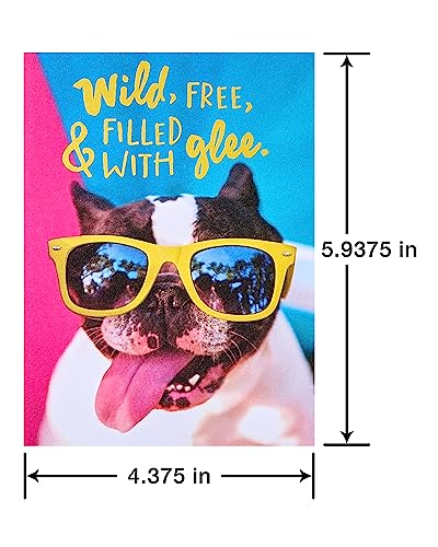 American Greetings Funny Blank Cards with Envelopes for All Occasions Dogs & Cats (48-Count) - Image 2