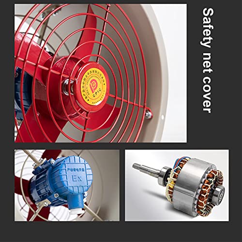 Ventilateur antidéflagrant 12 Pouces pour évacuer les odeurs d'entrepôt - 6