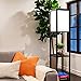Brightech Maxwell - Modern Shelf Floor Lamp with Shade and LED Bulb Corner Display Lamps Shelves for Living Room, Bedroom Office Black