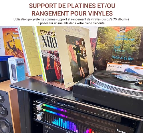 Decibelvibe - Support de Rangement pour Vinyles, Présentoir, avec un Design Premium en Acier Inoxydable et Bois de Noyer Massif, Jusqu'à 75 vinyles, pour votre Salon ou Pièce Hifi – vue 5