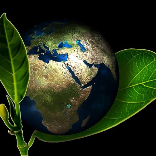 Politica UK&trade; cover art