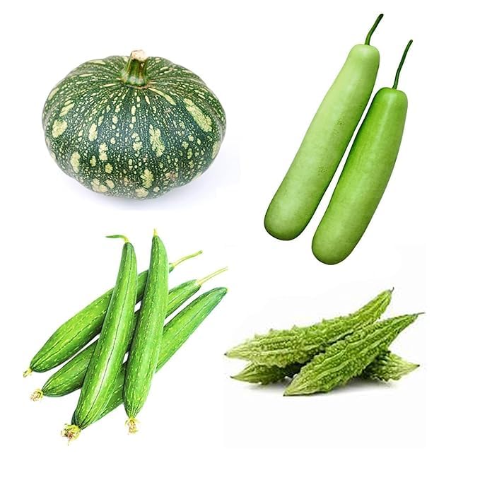 Dream big shop Combo Organic Seeds, Pack of 4 Vegetables, Green Pumpkin (Kaddu), Bottle gourd (Lauki), Sponge gourd(Turai) and Bitter gourd (Karela)-image-41
