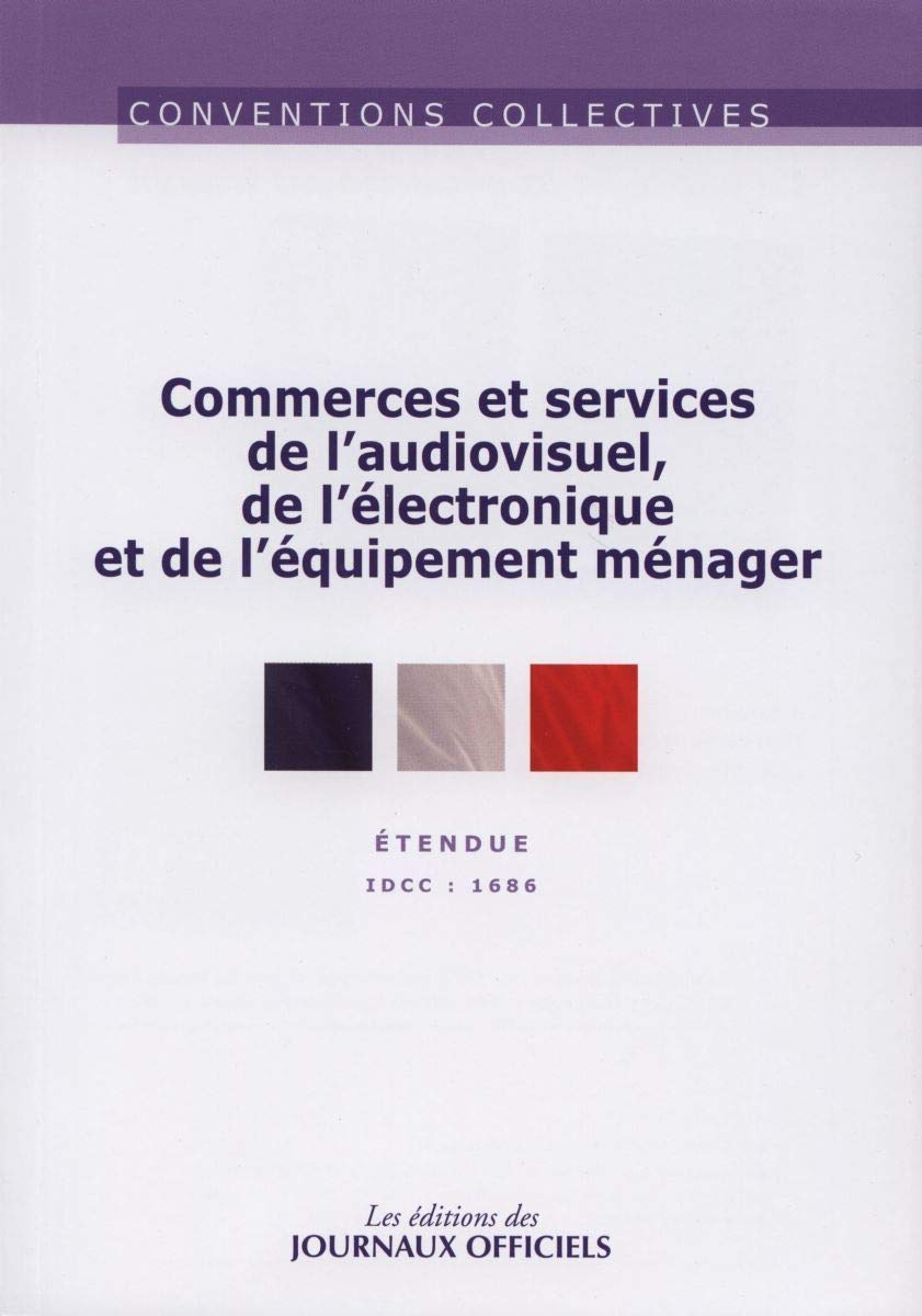 Commerces et services de l'audiovisuel, de l'électronique et de l'équipement