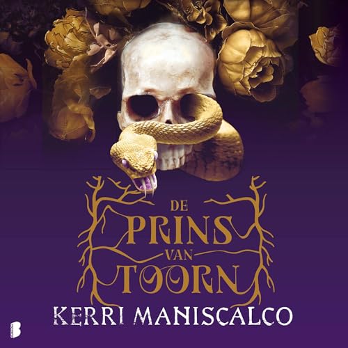 De prins van Toorn Audiolibro Por Kerri Maniscalco arte de portada