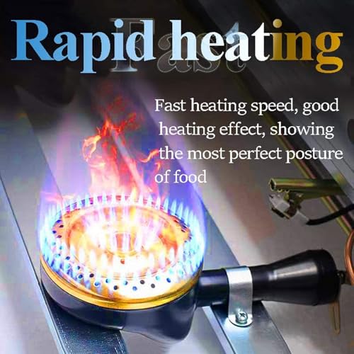 Gas-Fritteuse aus Edelstahl, kommerzielle LPG-Gas-Fritteuse – Aufsatz-Bratmaschine für Restaurant und Zuhause – inklusive Körben und Deckeln – leicht zu reinigen – Bild 6