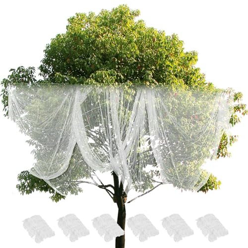 [Baclety] sCȕz,nEB[̑ sCȕz,nEB|z\tgRbgubfBnEB[bV6 | 72x29C`̃zf[LOiAyʂŐLk̂WCAgK[[AO|[`Ǘp