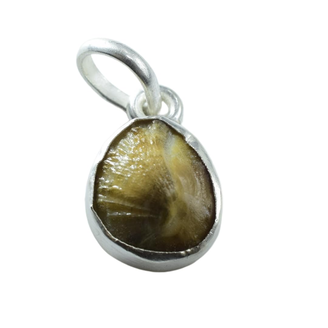 Machmani 7 Carat Silver Locket 100% Natural Machh mani | Certified From gem Testing Lab Authentic| Natural Mach Mani Pendant (1 GRAM +) Natural Brown Color