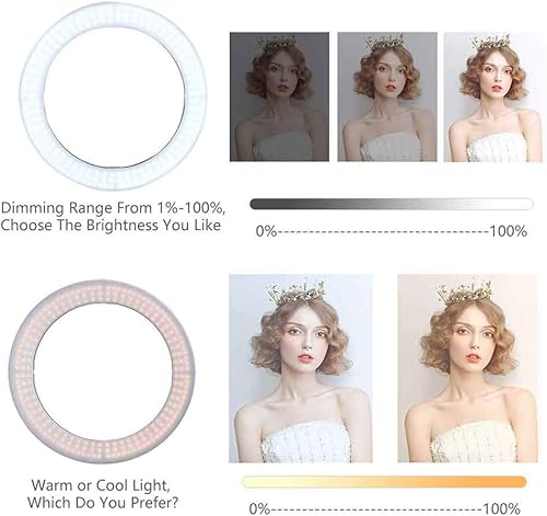 Miniatura 4 de Kit de 18 anillos fluorescentes regulables anillo de luz de 96 W 5500 K, soporte de luz, tubo suave, filtro y bolsa para fotografía YouTube auto