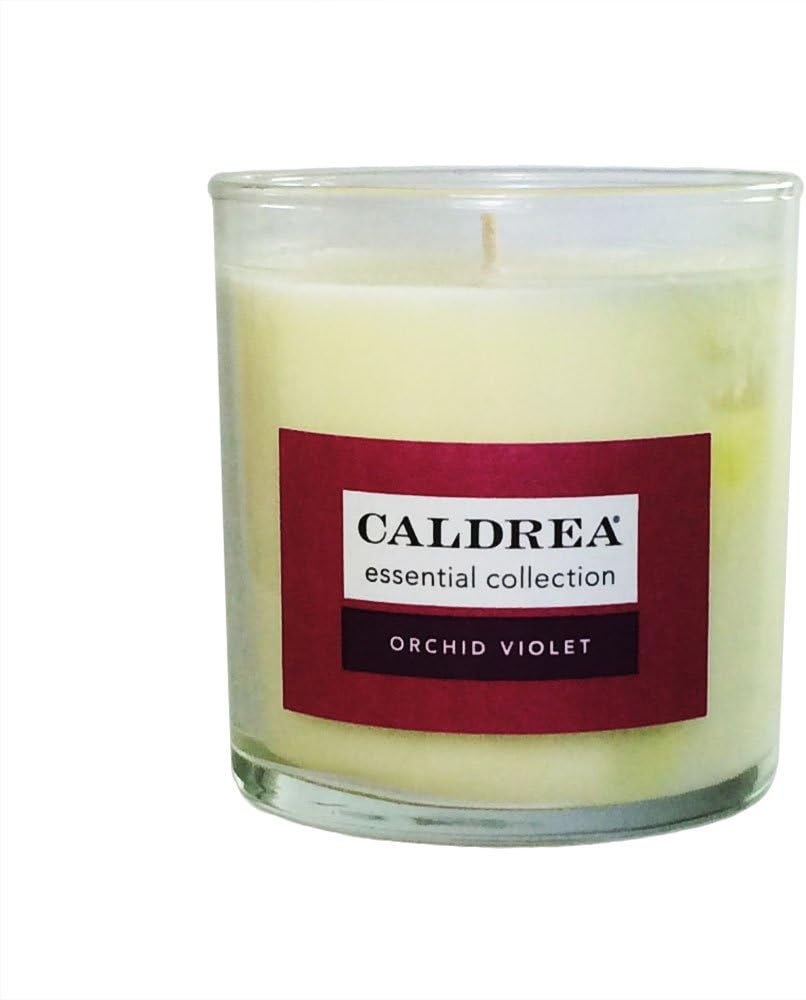 Caldrea Orchid Violet Signature 50 hr Glass Candle with Orange and Jasmine 8.6 oz