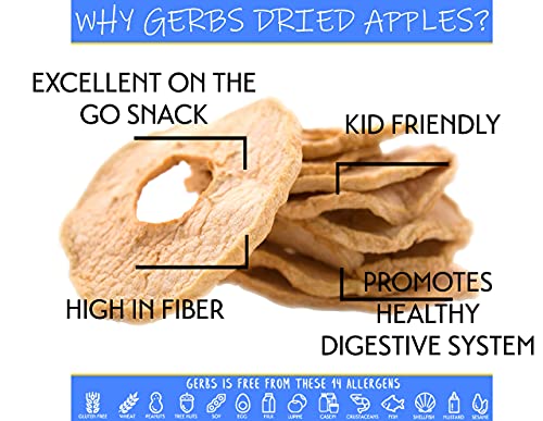 Gerbs Cranberry Apple Oatmeal Bundle, 6 Total Pounds (Traditional Rolled Oats, Dried Cranberries & Dried Apple Rings) Top 14 Food Allergen Free, Non Gmo, Kosher, Made In Rhode Island #TOP5