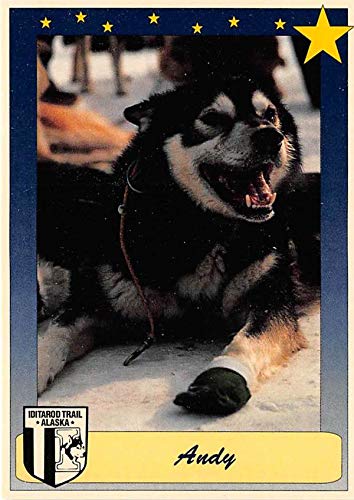 Andy Dog trading card Iditarod 1992 Motoart #100 Promo