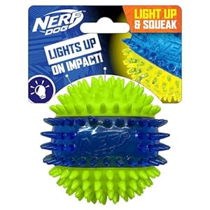 Nerf Dog Three Toy Gift Set: Crunch Ball, Spike LED Squeak Ball, and Squeak Football Gift Set Nerf Dog Three Toy Gift Set Crunch Ball Spike LED Squeak Ball and Squeak Football Gift Set